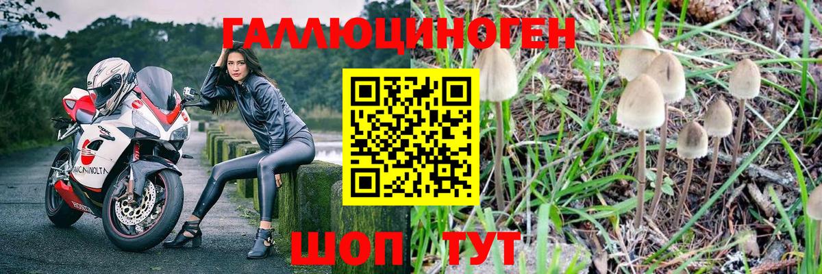 Галлюциногенные грибы Magic Shrooms  Вход с VPN  Шали 